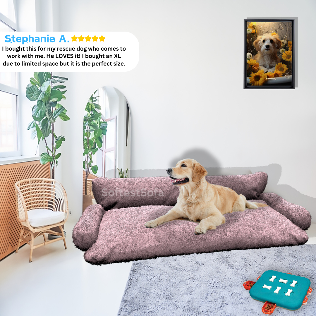 SoftestSofa™ - Personalized Dog Bed