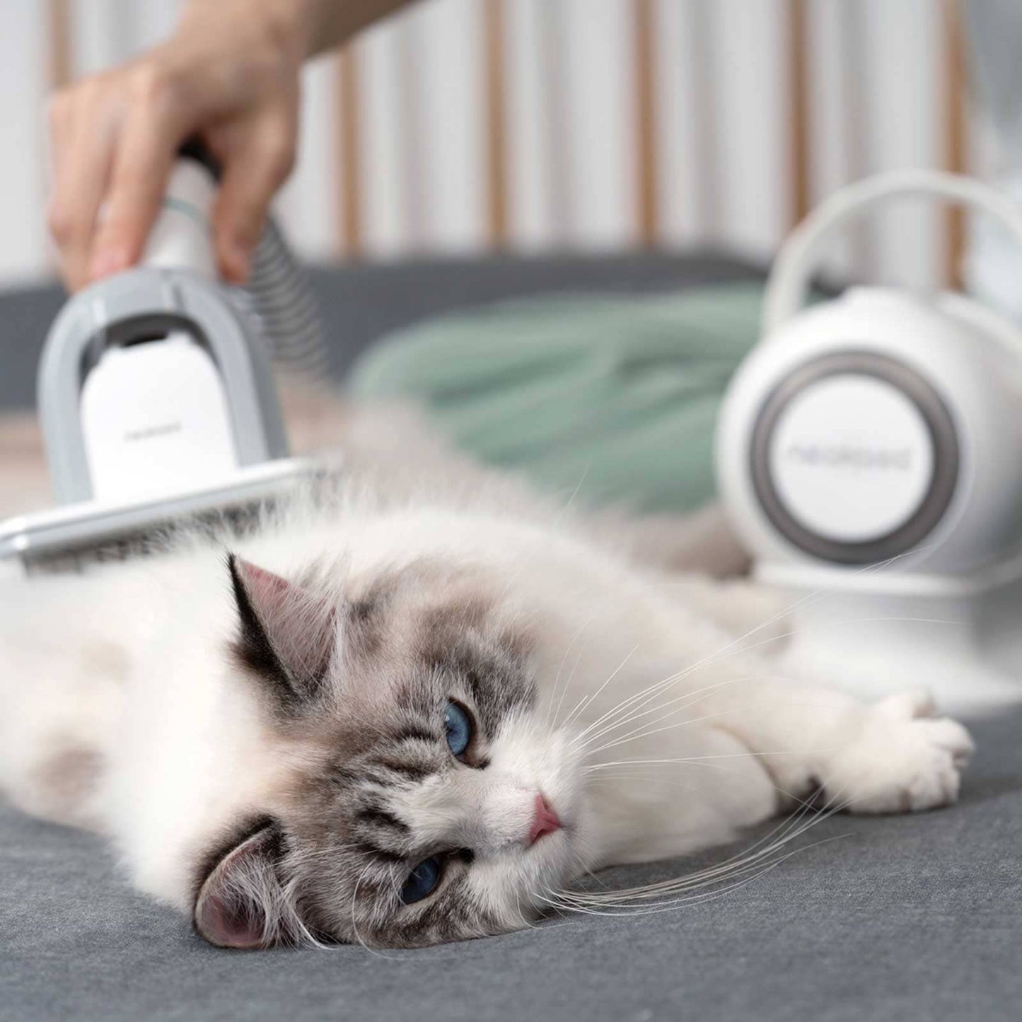 SoftestSofa™ Pet Hair Grooming Vacuum
